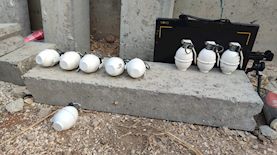 רימונים, צילום: דוברות המשטרה